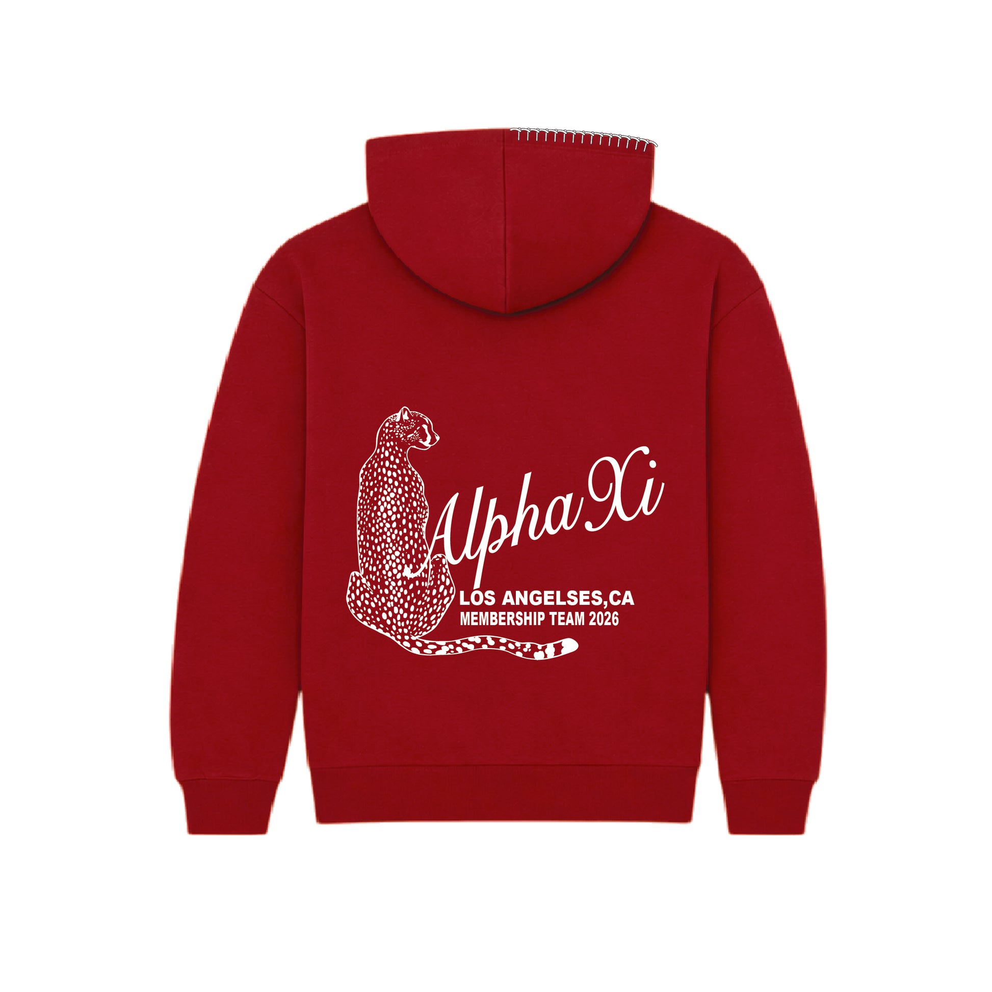 CSUN Membership Team Hoodie