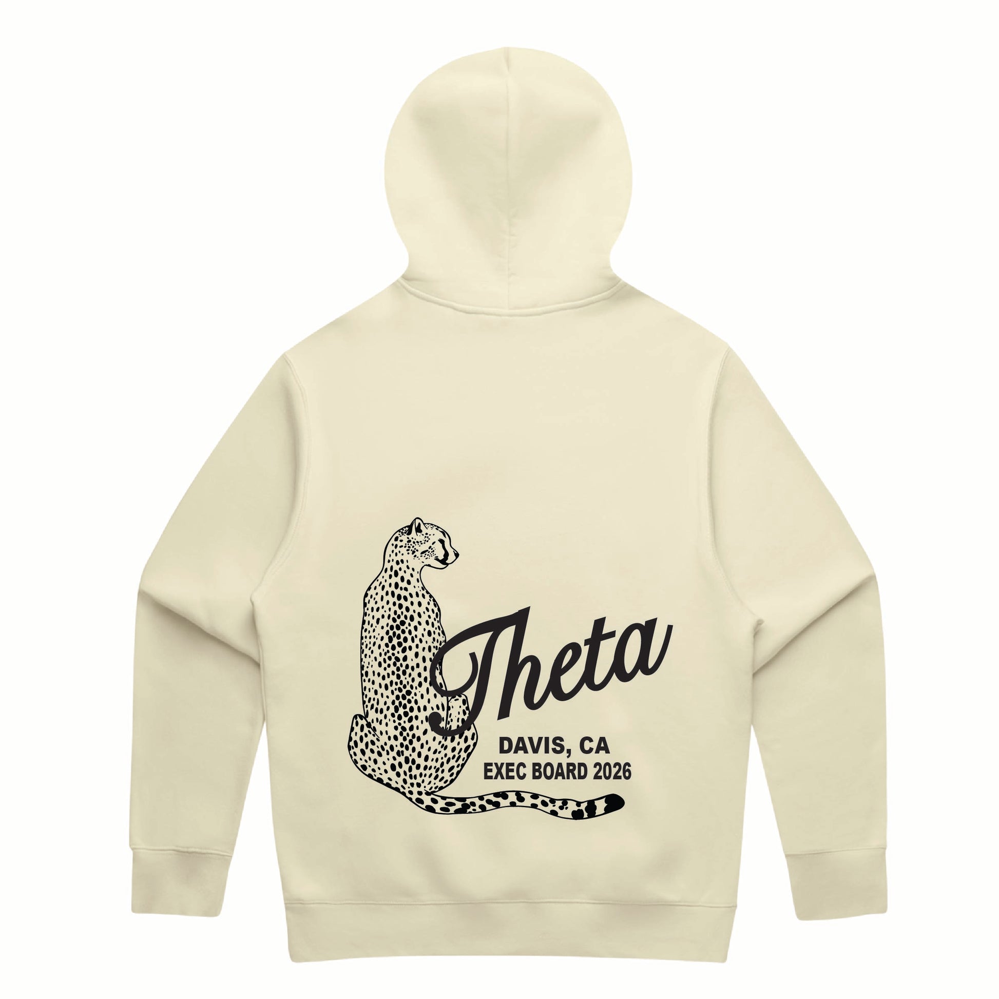 Theta Sitting Cheetah -UC Davis Exec